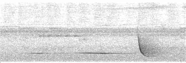 Oriole Whistler - ML118485691