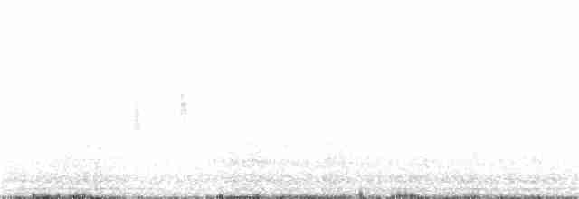 Mirlo Acuático Norteamericano - ML118490011