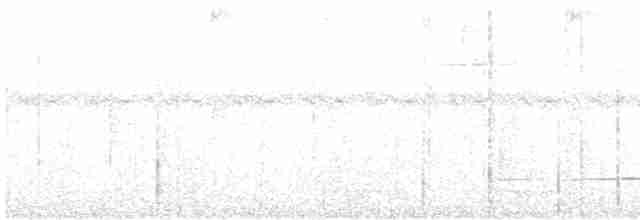 Широкохвістка меланезійська - ML118512751