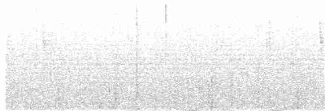 Perlenkehl-Ameisenschlüpfer - ML118549721