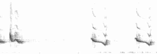 Sinsonte Norteño - ML118628