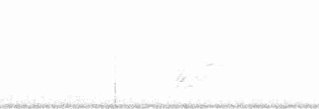 Дрізд-короткодзьоб плямистоволий - ML118681