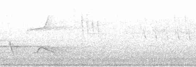 Turuncu Ardıç - ML118810