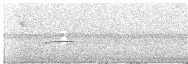 Пурпурногорлая эуфония - ML118810851