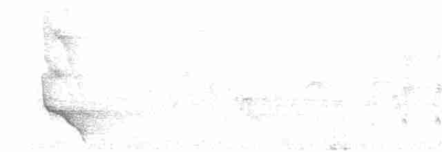 Plush-crested Jay - ML118814331
