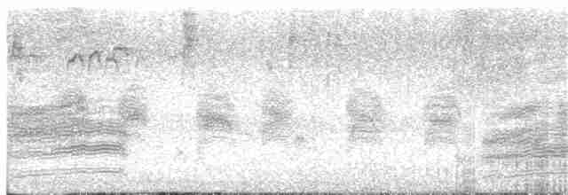 Spotted Towhee (oregonus Group) - ML118837001