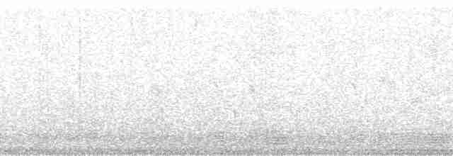 Шалфейная овсянка (belli) - ML118841