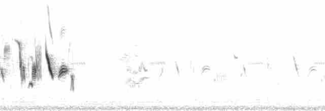 Шалфейная овсянка (belli) - ML118847