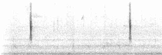 Yellow-rumped Warbler (Myrtle) - ML118921761