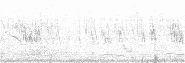 Сибирский черноголовый чекан [группа maurus] - ML119112001
