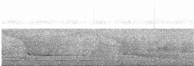 Trogon aurore - ML119268921