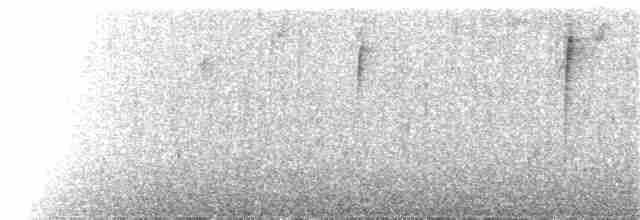 Tangara capucin (rubrirostris) - ML119432141