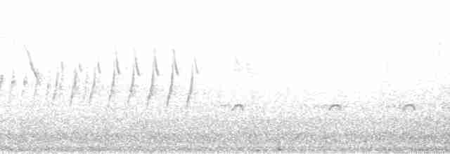 Chaparralgrasmücke - ML119434