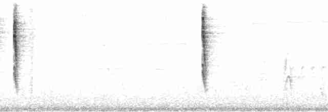 Pacific Wren (pacificus Group) - ML119460