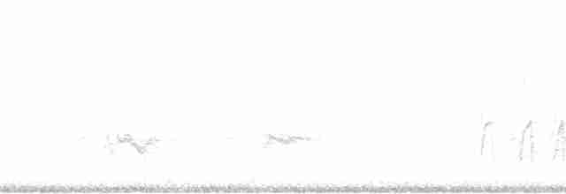 Bruant sauterelle - ML119471