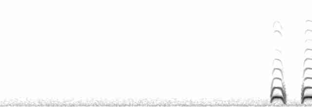 アナホリフクロウ（hypugaea／rostrata） - ML119480