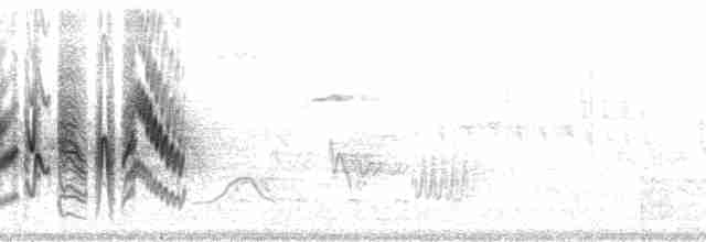 Braunaugenvireo (pusillus) - ML119494
