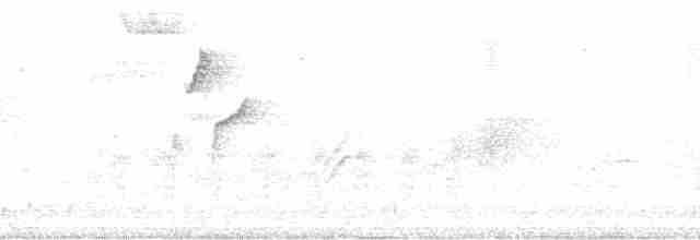 Braunaugenvireo (pusillus) - ML119496