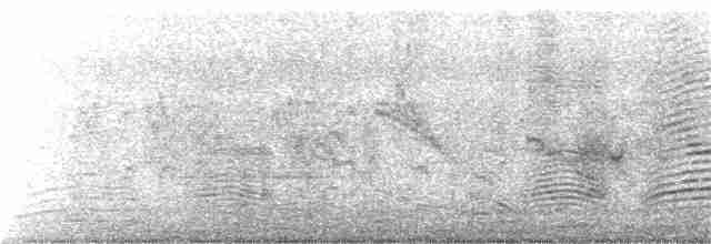 Large Gray Babbler - ML119515821