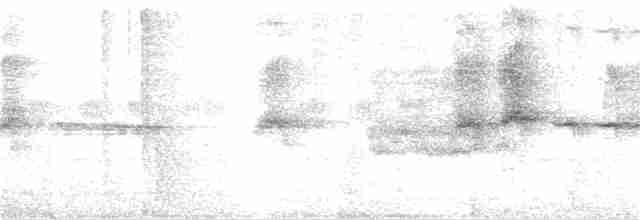 Кратеропа сіролоба - ML119520451