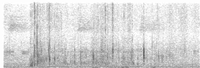 極北柳鶯 - ML119528201