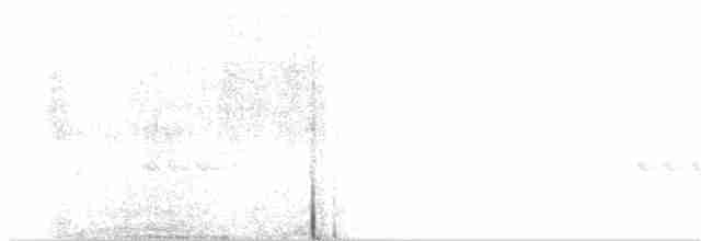 褐林鴞 - ML119848701