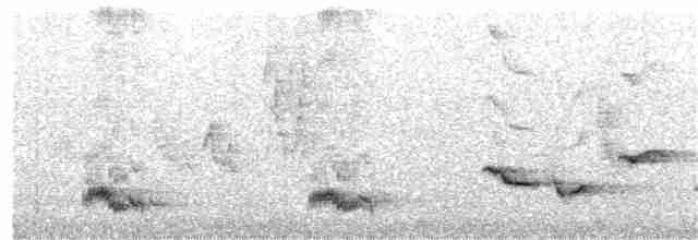 Тирч плямистоволий - ML120062191