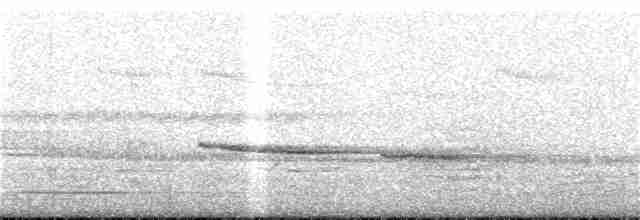 Russet-tailed Thrush - ML120121821