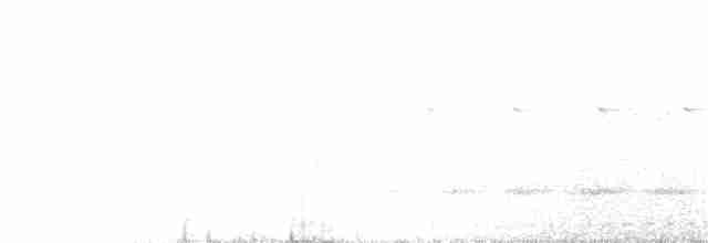 White-throated Nightjar - ML120176081