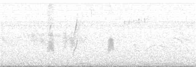 Büyük Kahverengi Kırlangıç - ML120183521