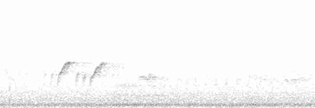 キタオビナシショウドウツバメ（serripennis グループ） - ML120209
