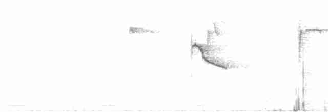 Тиранчик-короткодзьоб південний - ML120209431