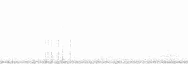 Ardıç Baştankarası - ML120212