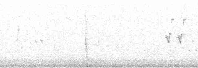 nordtaggsvale (serripennis gr.) - ML120217