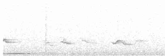 holub šedočelý - ML120218021