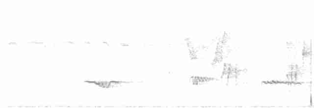 Серогрудый трескунчик - ML120225931