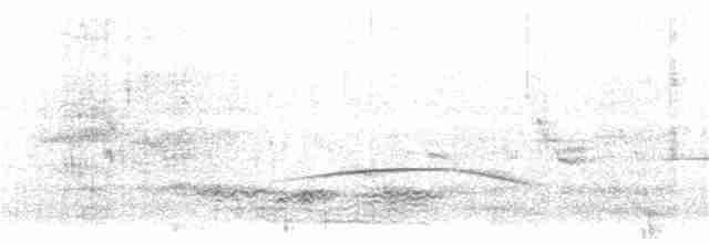 Cape Clapper Lark (Agulhas) - ML120292521