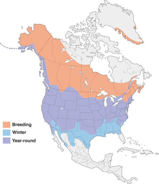 Mallard Range Map