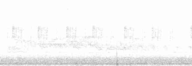 Kiefernsaftlecker - ML120425