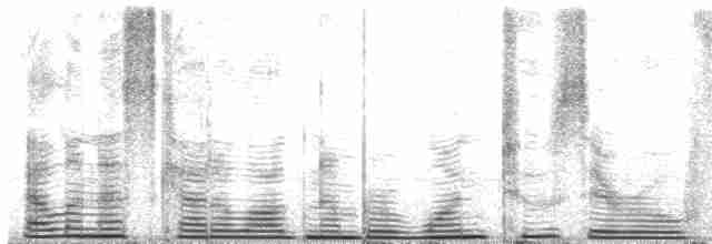 白腰叉尾海燕(leucorhoa) - ML120436