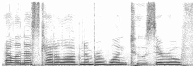 Wellenläufer (leucorhoa) - ML120438