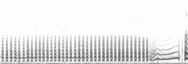 Северная качурка (leucorhoa) - ML120440