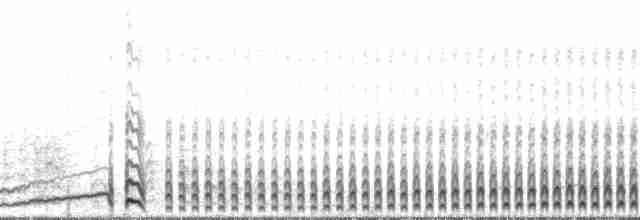 白腰叉尾海燕(leucorhoa) - ML120442