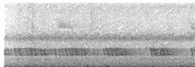 Yellow-eared Barbet - ML120456951