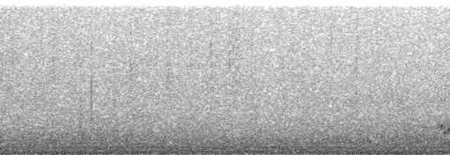Büyük Kertenkele Guguğu [merlini grubu] - ML120493