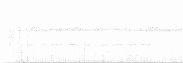 Rostbrust-Ameisendrossel - ML120539761