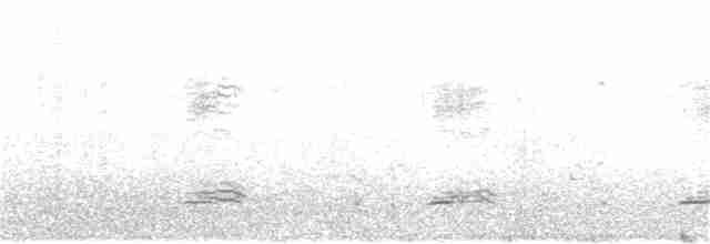 perlička kropenatá - ML120569091