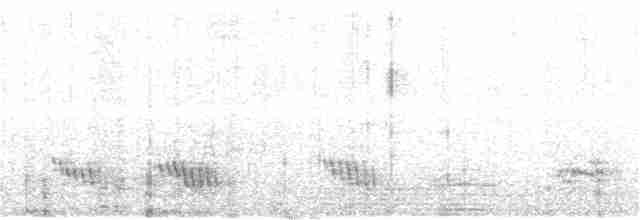 Смолярик білокрилий - ML120569291