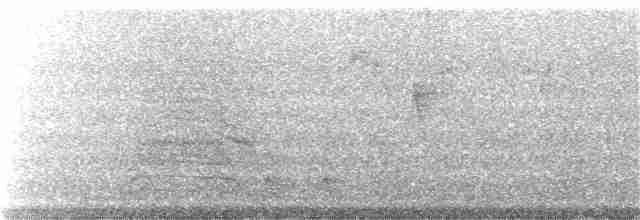 Küçük Boreal Sinekkapan - ML120636381