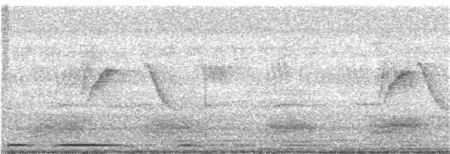 Eurasian Collared-Dove - ML120766241
